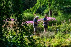 im botanischen Garten