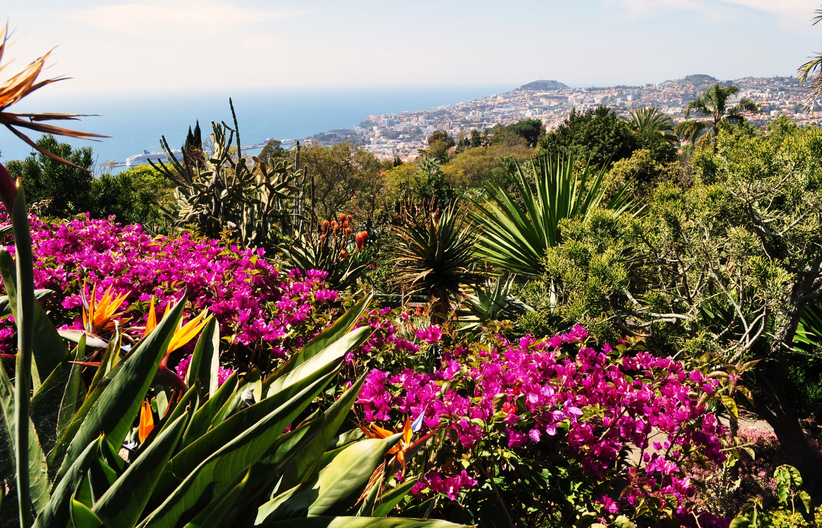 Im Botanischen Garten Funchal