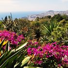 Im Botanischen Garten Funchal