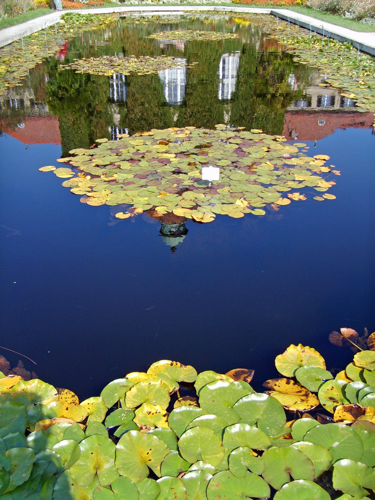 im Botanischen Garten I