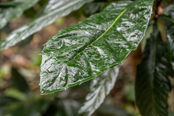 Im Botanischen Garten in Bern