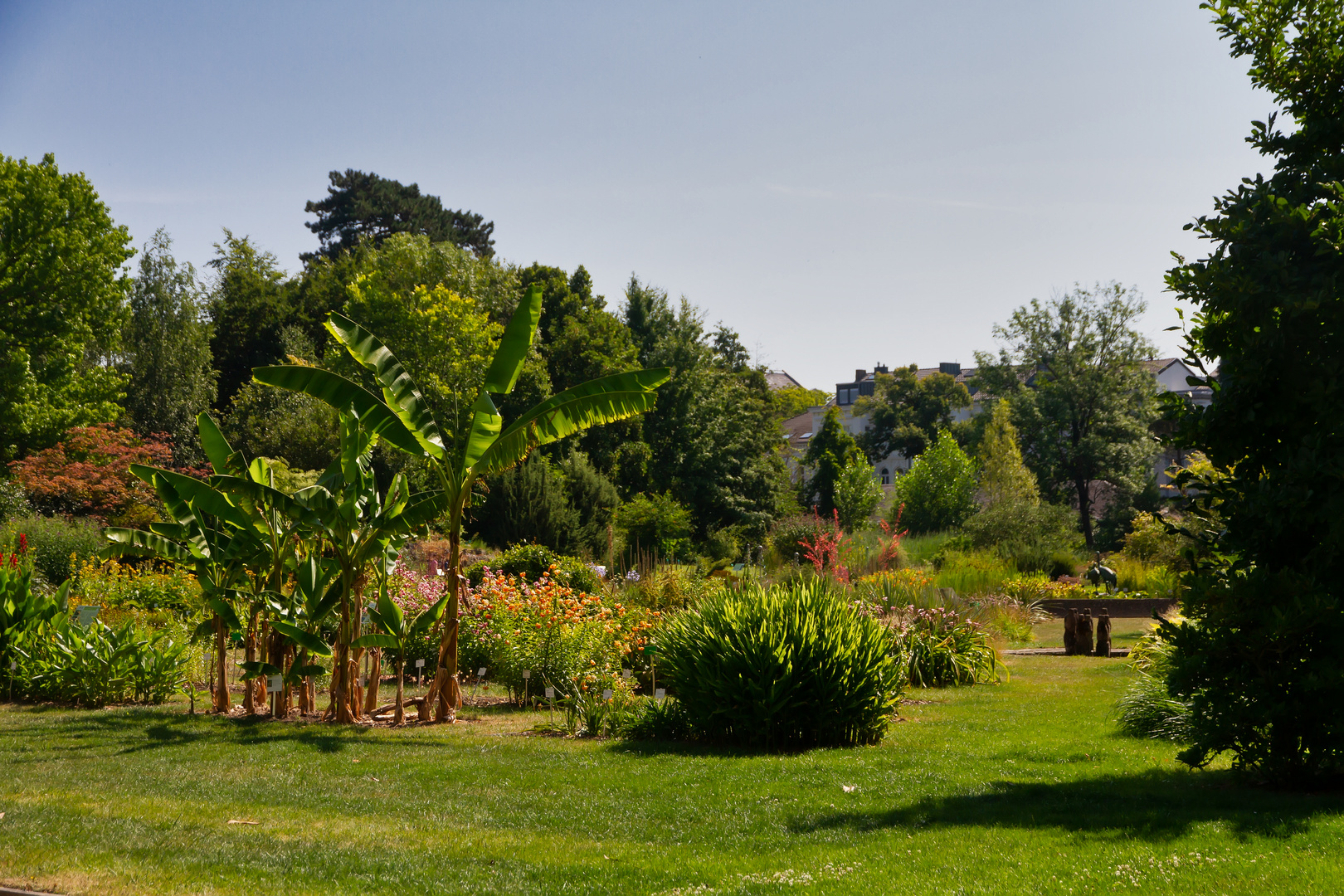 Im Botanischen Garten in Bonn I