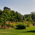 Im Botanischen Garten in Bonn I