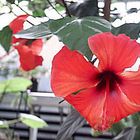 Im Botanischen Garten in der Regensburger Uni