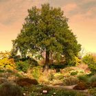 Im Botanischen Garten in Halle Saale