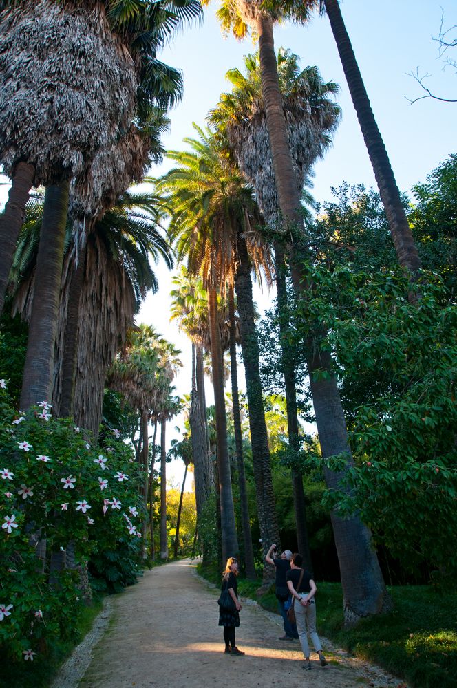 im Botanischen Garten in Lissabon