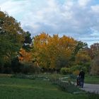 Im Botanischen Garten in Wien