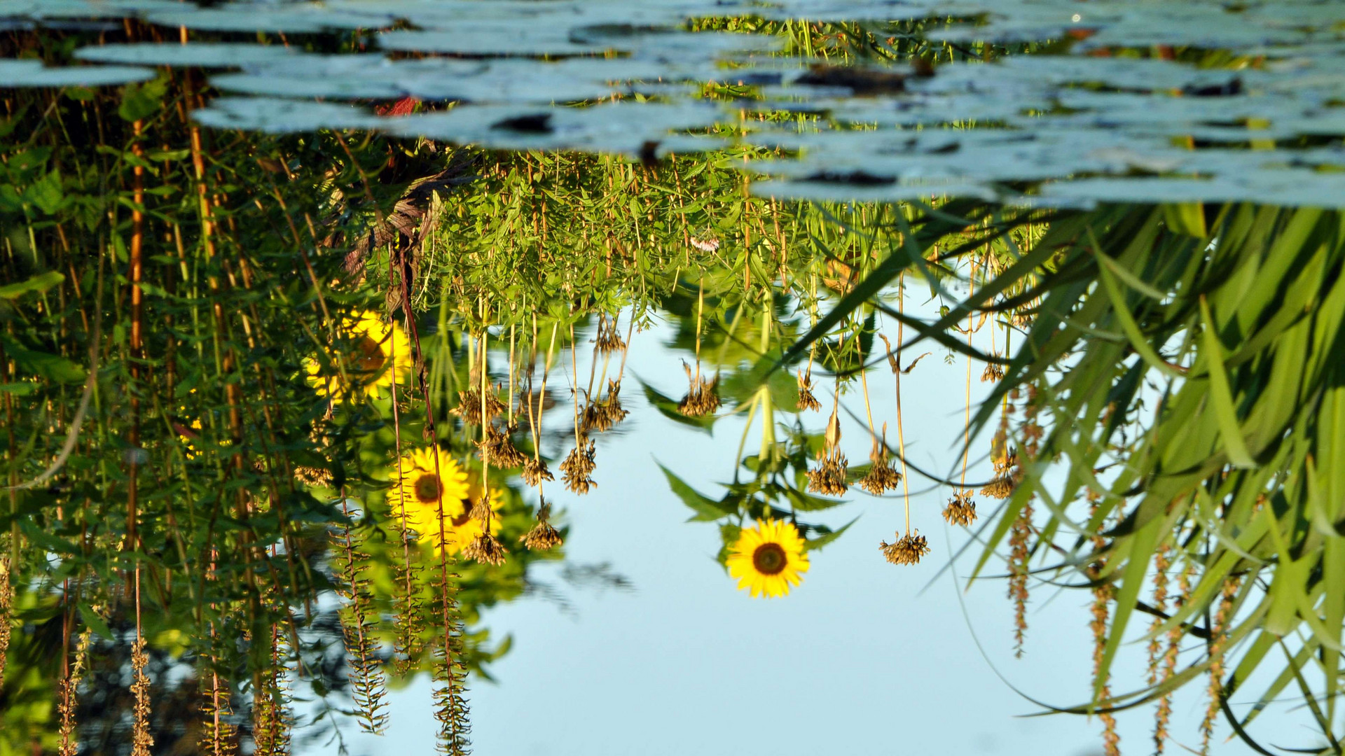 Im Botanischen Garten in Wuppertal