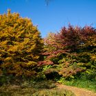 .. im Botanischen Garten Köln ..