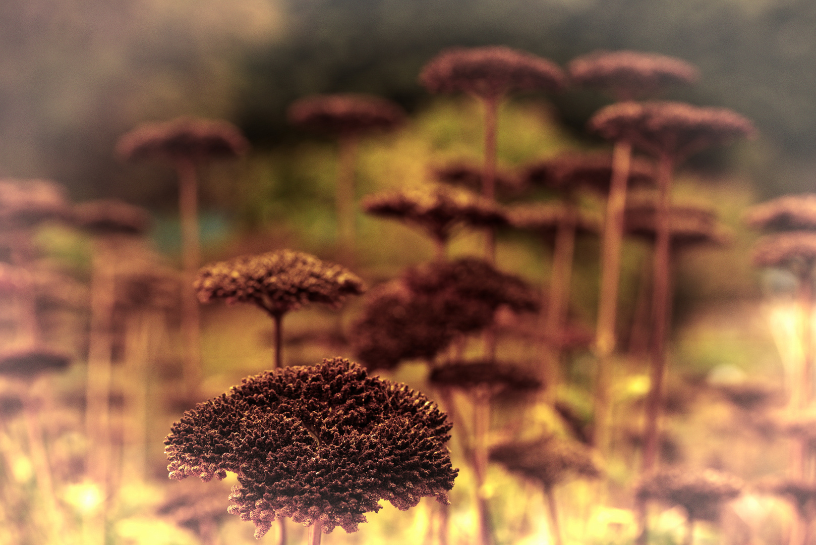 Im Botanischen Garten Mainz (1)