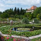 Im Botanischen Garten München