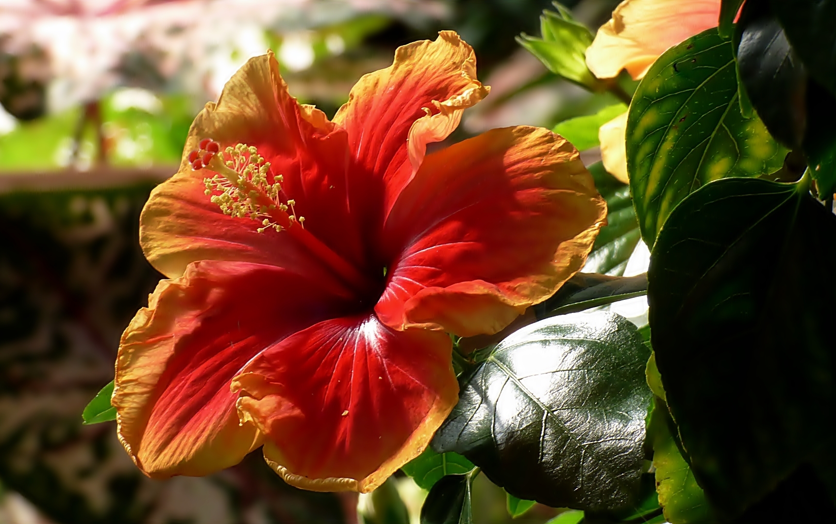 Im Botanischen Garten Münster . . .