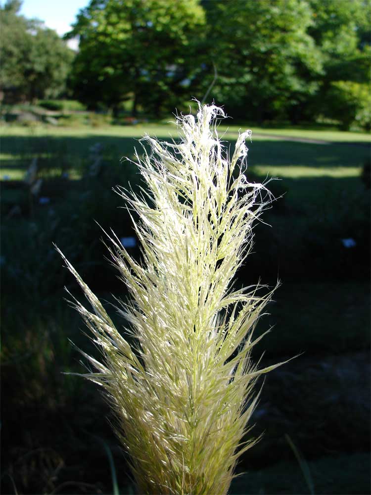 Im Botanischen Garten Rostock