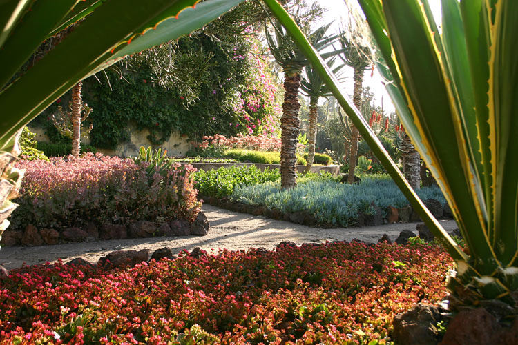 Im Botanischen Garten von Funchal