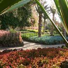 Im Botanischen Garten von Funchal