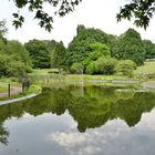 Im Botanischen Garten von Solingen