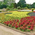 Im Botanischen Garten von Solingen