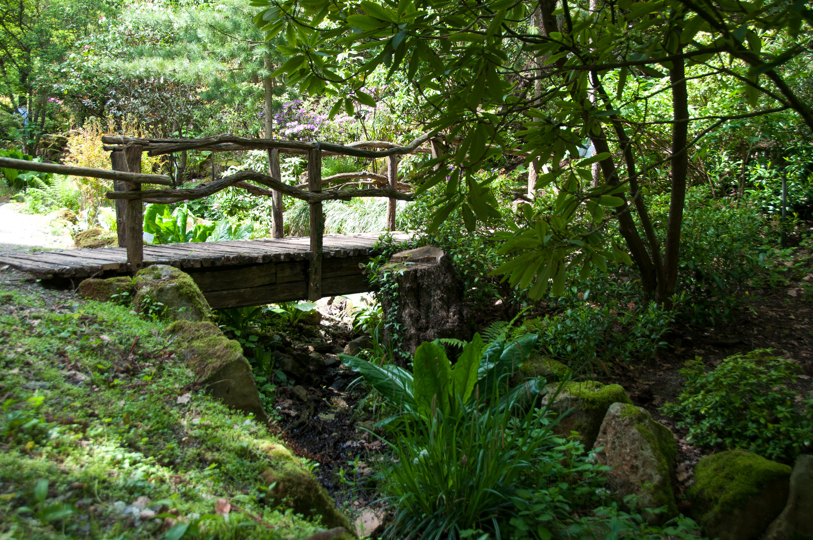 im botanischen Garten von Tübingen Foto & Bild landschaft, garten