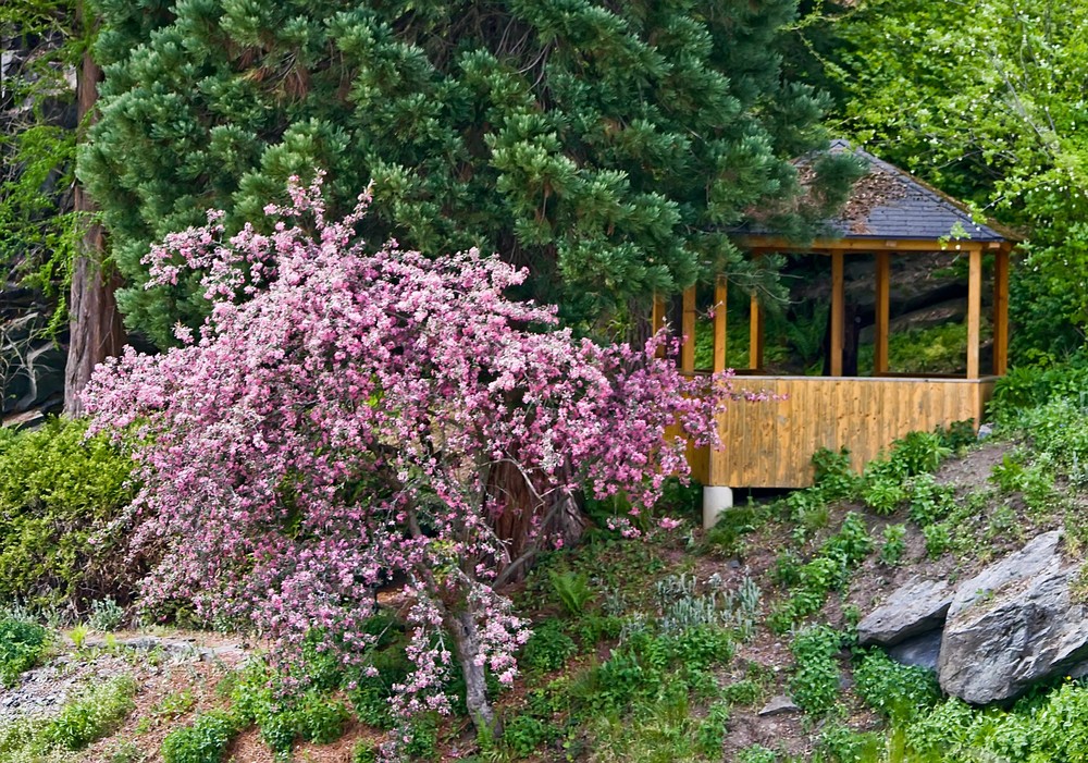 Im Botanischen Garten zu Klagenfurt