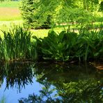 Im Botanischen Garten...zum Spiegeltag…