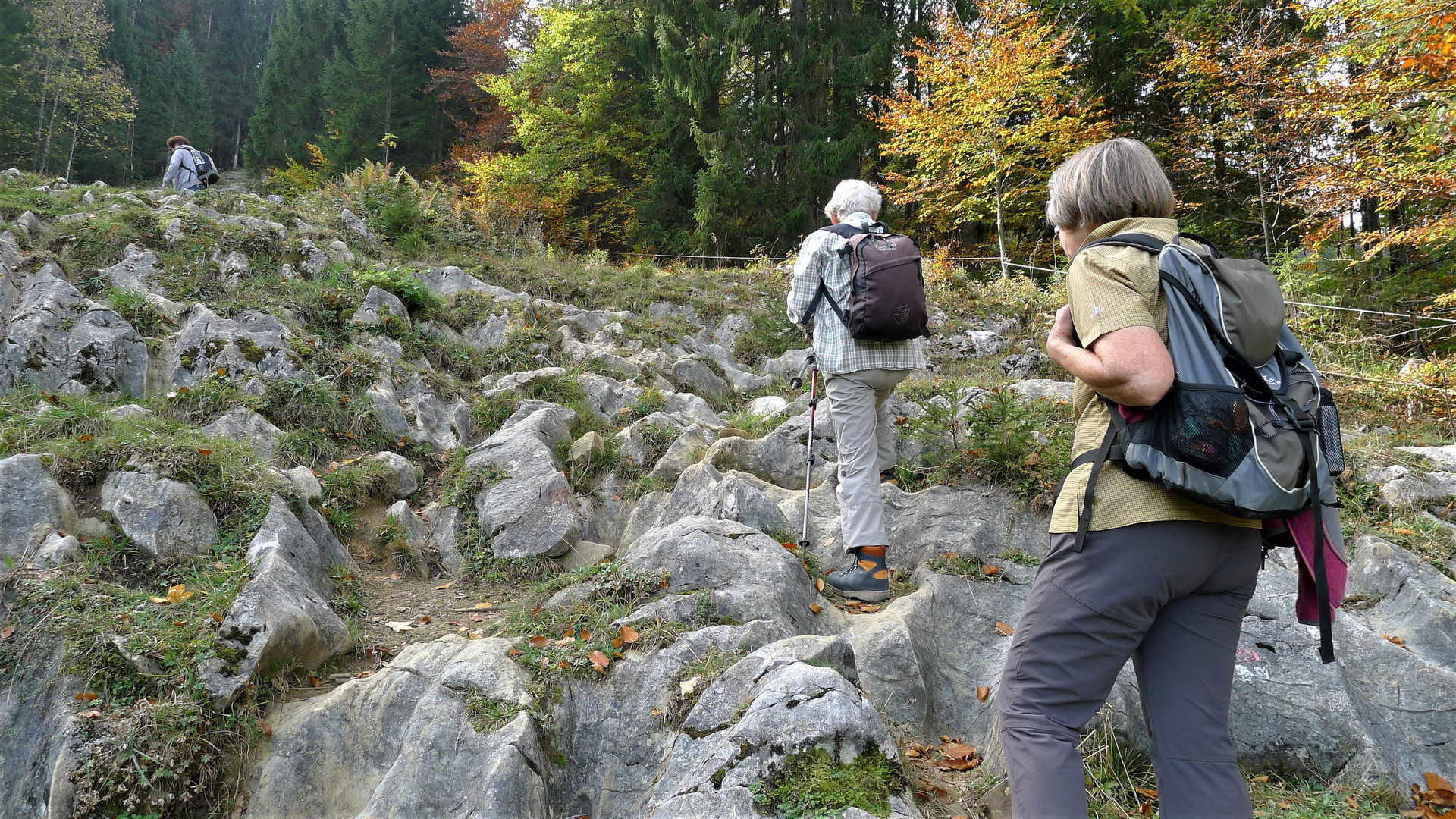 Im Bregenzerwälder Karst