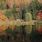 Im breiten Zufluß der Müglitz in die Talsperre gab es auch herbstliche Spiegelungen...