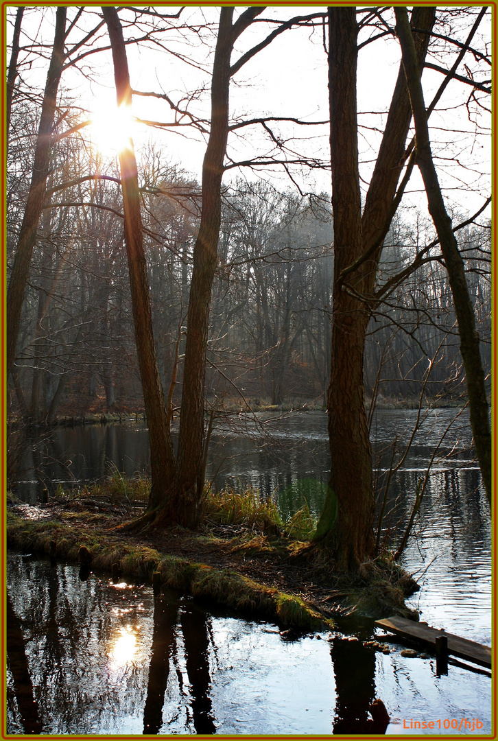 Im Briesetal bei Birkenwerder