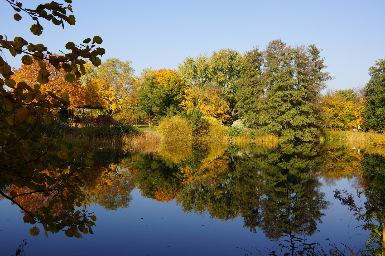 Im Britzer Garten (1)