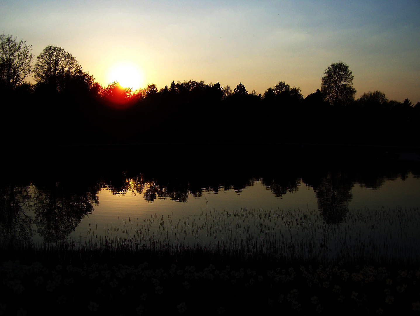 im Britzer Garten