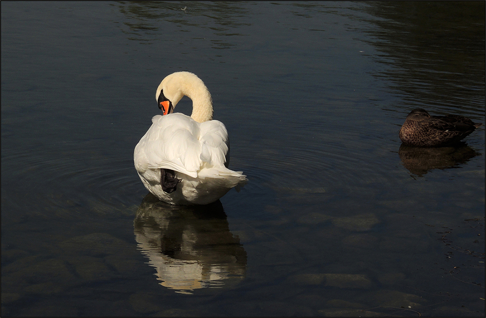 Im Britzer Garten