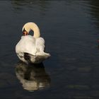 Im Britzer Garten