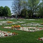 im Britzer Garten...