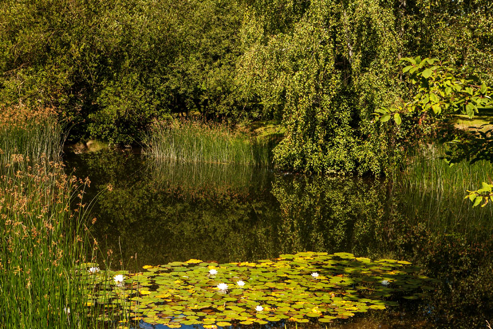 Im Britzer Garten