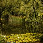 Im Britzer Garten