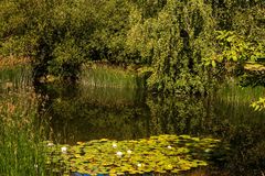 Im Britzer Garten