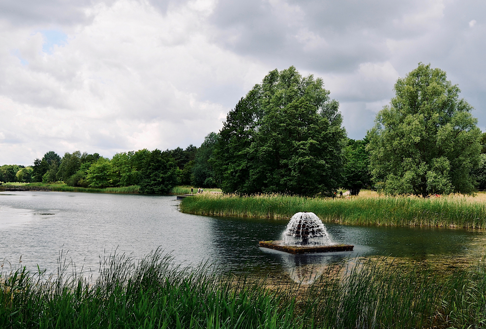 Im Britzer Garten Foto & Bild landschaft, garten