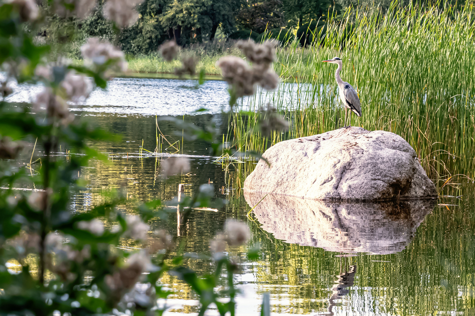 Im Britzer Garten