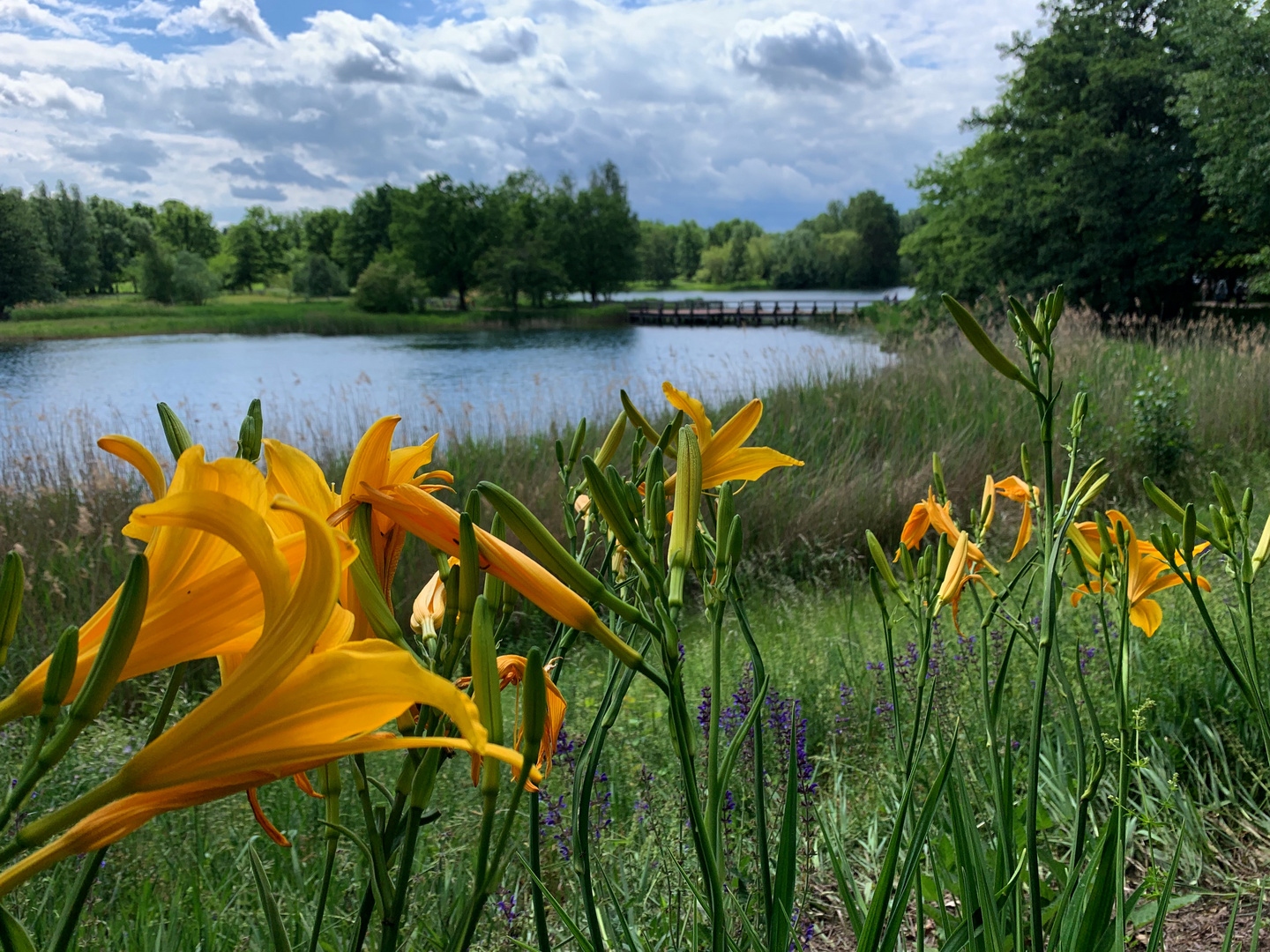 Im Britzer Garten, Berlin