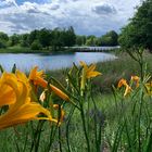 Im Britzer Garten, Berlin