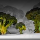 Im Broccoliwald