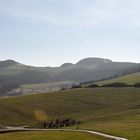 Im Brohltal zwischen Oberzissen und Niederzissen (Eifel)