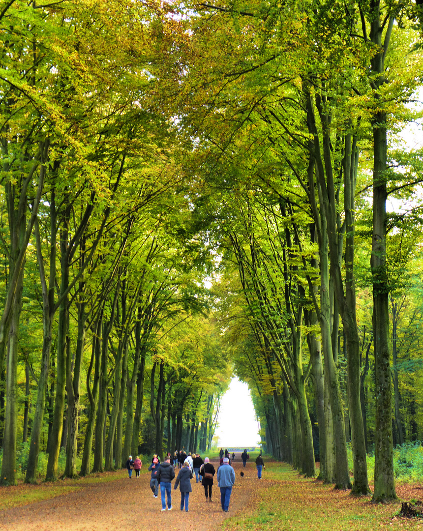 Im Brühler Schlosspark