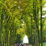 Im Brühler Schlosspark