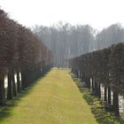 Im Brühler Schlosspark Augustusburg