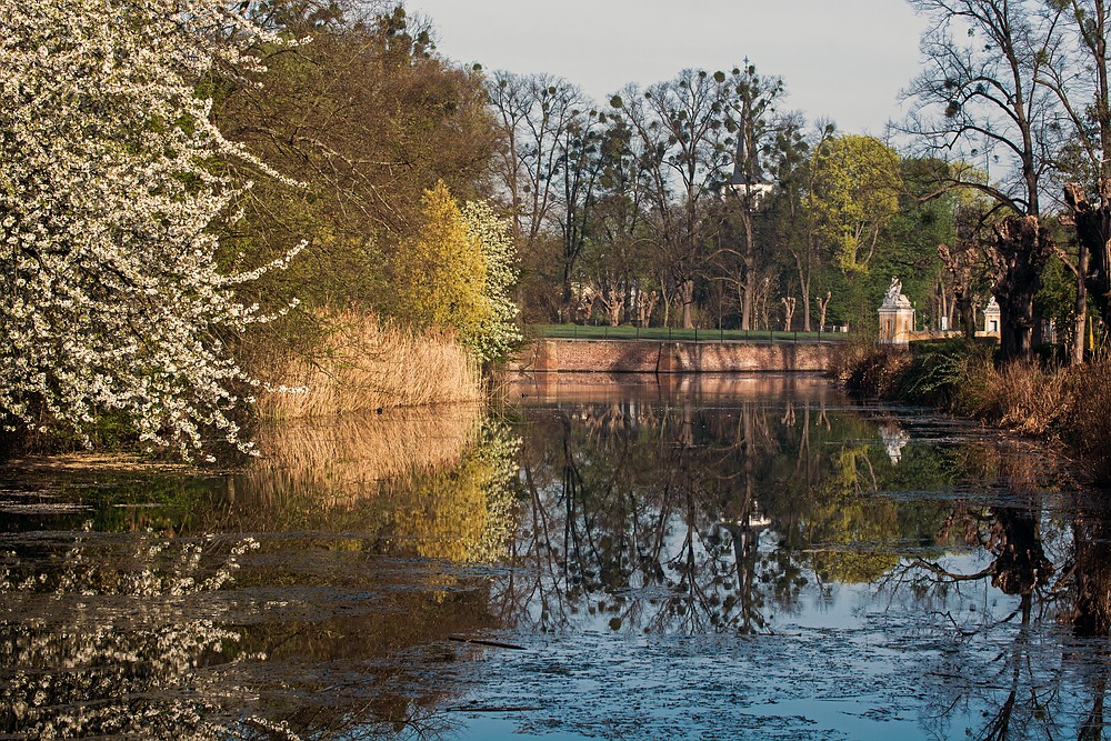 Im Brühler Schlosspark