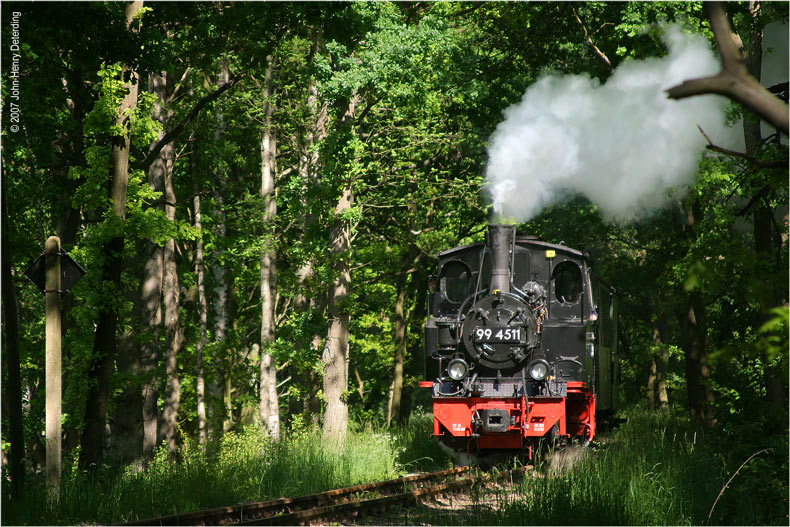 Im Brünkendorfer Wald