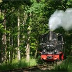 Im Brünkendorfer Wald