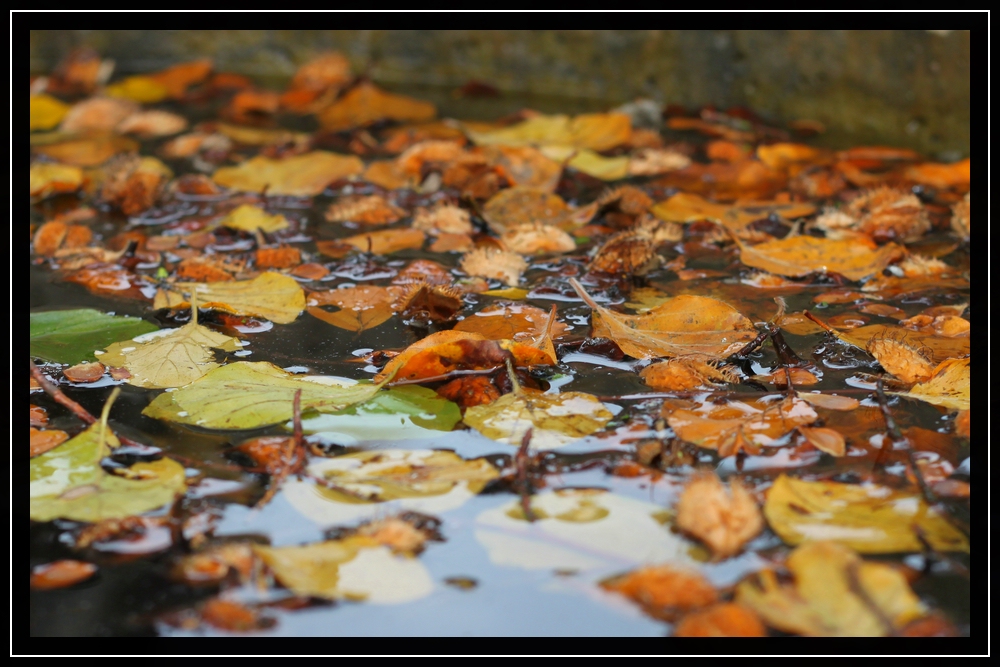 Im Brunnen