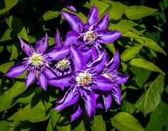 im brutalen mittagslicht...