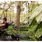 im Bryant Park